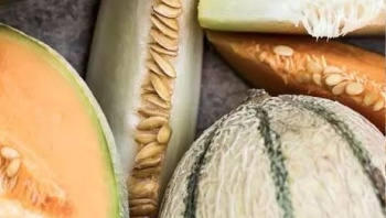 Здоровье мышц